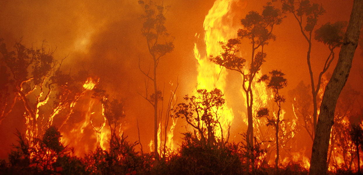 boeren, klimaatmythe, Australië, duurzaam