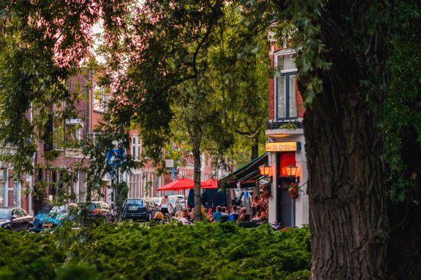 pilsen op het terras