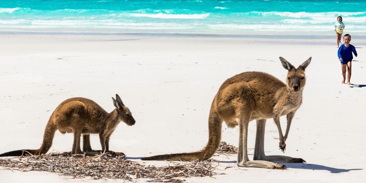 stageplaats australië